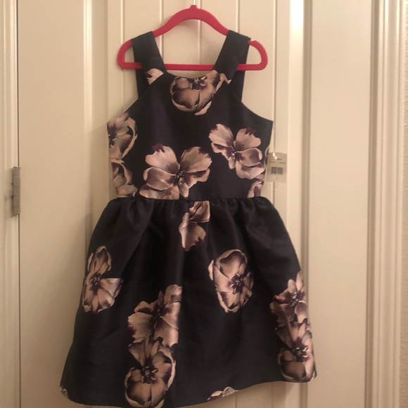 Girls special occasion or holiday dress